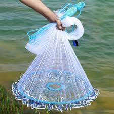 Gill Nets